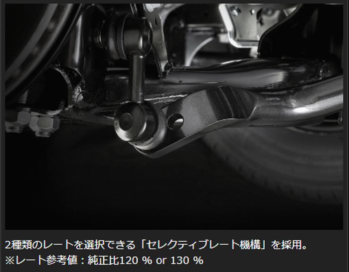 キャラバン NV350用 標準ボディ専用 玄武(Genb) REAL FORCE チューンドスタビライザー